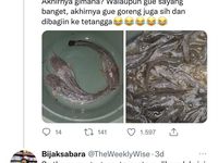 Kisah Pria Terbebas Dari Stres Berat Berkat Ternak Ikan Lele Di Rumah