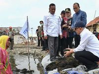 Kemenkop Ukm Minta Koperasi Diperkuat Agar Bantu Industri Rumput Laut