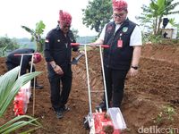 Mentan Bupati Mas Dhito Bagi Bibit Tanam Kelapa Genjah