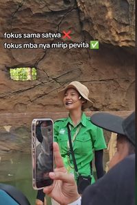 Viral Petugas Solo Safari Mirip Pevita Pearce Emang Boleh Semirip Ini