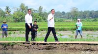 Jokowi Ungkap Biang Kerok RI Tak Kunjung Swasembada Pangan Lagi