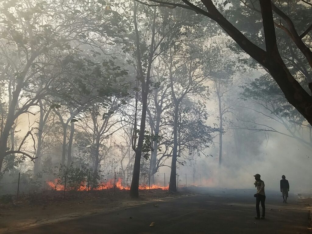 Hutan Percobaan Di Kampus Unhas Terbakar