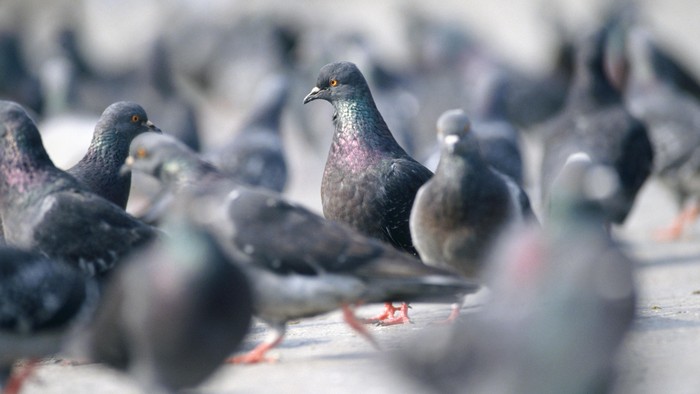 Foto: thinkstock Foto: thinkstock