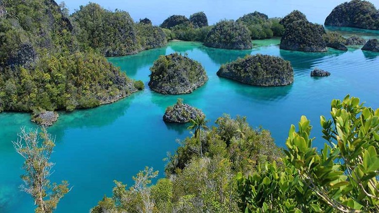 Raja Ampat (Johanes Randy/detikTravel) Raja Ampat (Johanes Randy/detikTravel)