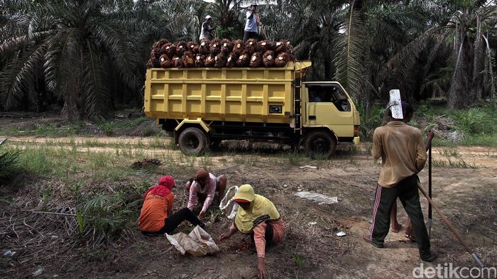 Ilustrasi Foto: Febri Angga Palguna Ilustrasi Foto: Febri Angga Palguna