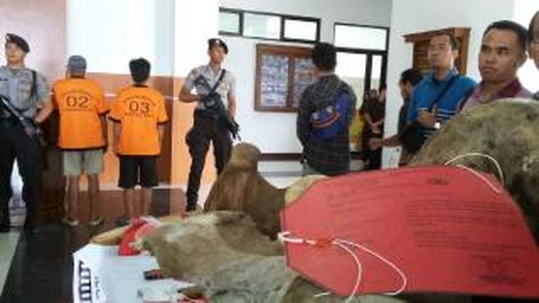 Polda Jambi Tangkap 2 Pembunuh Gajah Sumatera Polda Jambi Tangkap 2 Pembunuh Gajah Sumatera