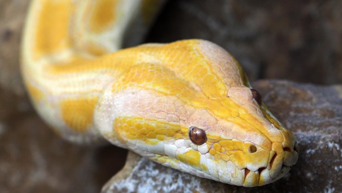Foto: (Thinkstock) Foto: (Thinkstock)