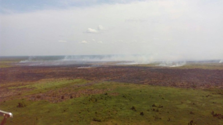 Ini Strategi Kementerian LHK Setop Kebakaran Hutan Ini Strategi Kementerian LHK Setop Kebakaran Hutan