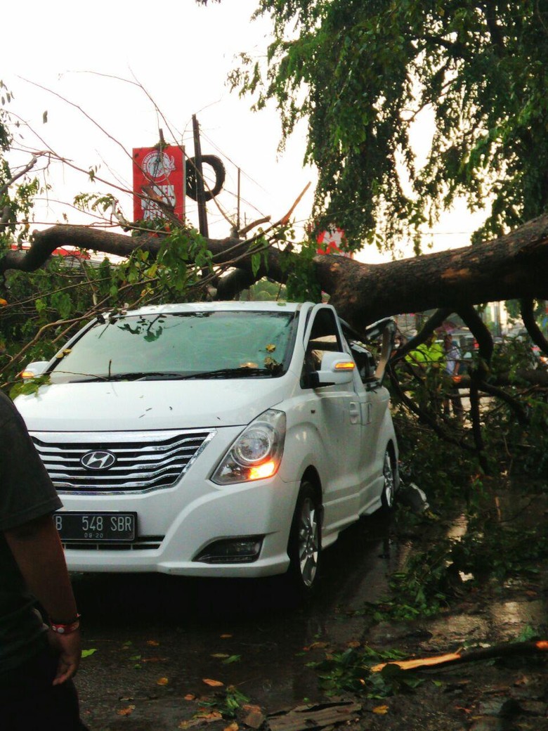 H 1 Ditimpa Pohon Tumbang Di Tanah Baru Depok