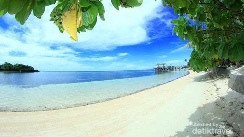 Foto: Pulau Tomia di Wakatobi (Hanani Fadlilah/dTraveler) Foto: Pulau Tomia di Wakatobi (Hanani Fadlilah/dTraveler)