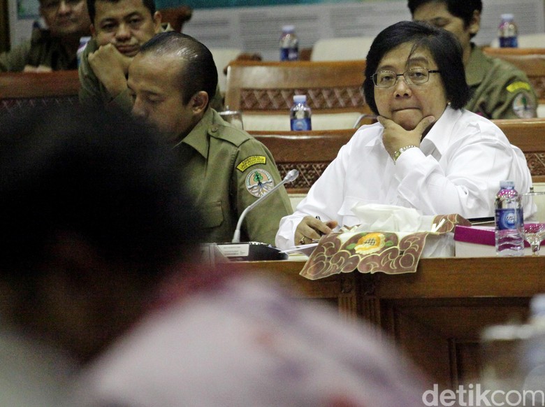 Menteri LHK Ajak Menteri Denmark Cek Pencemaran di Teluk Jakarta Menteri LHK Ajak Menteri Denmark Cek Pencemaran di Teluk Jakarta