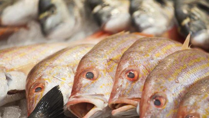 Foto: iStock Foto: iStock