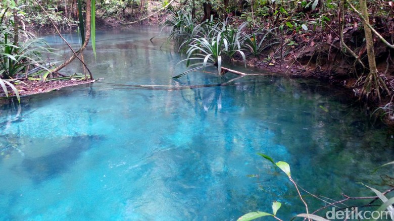 Foto: Kecantikan Kalibiru di Raja Ampat yang diulas media Inggris (Wahyu/detikTravel) Foto: Kecantikan Kalibiru di Raja Ampat yang diulas media Inggris (Wahyu/detikTravel)