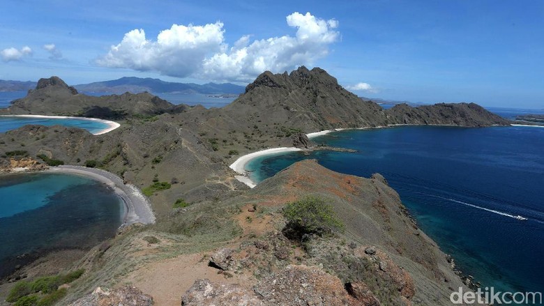 Pulau Padar di Labuan Bajo (Agung Pambudhy/detikTravel) Pulau Padar di Labuan Bajo (Agung Pambudhy/detikTravel)
