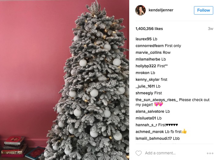 Foto: Instagram Kendall Jenner Foto: Instagram Kendall Jenner