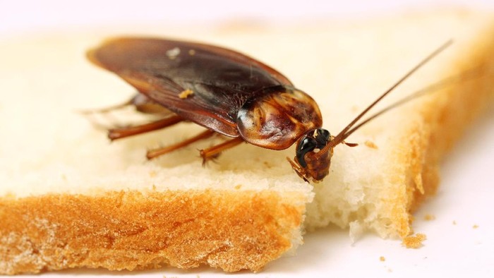Foto: Thinkstock Foto: Thinkstock