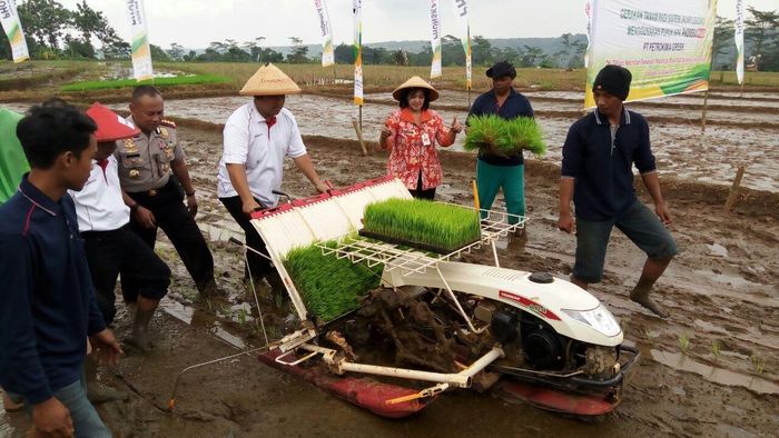 Foto: Angling/detikcom Foto: Angling/detikcom
