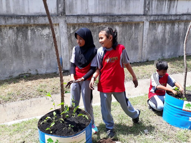 Melihat Antusiasme Murid-murid SD Tanam Markisa di Gresik Melihat Antusiasme Murid-murid SD Tanam Markisa di Gresik