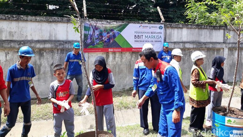Pertamina Lubricants Hijaukan Gresik Pertamina Lubricants Hijaukan Gresik