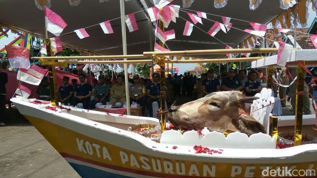 Kepala Se ekor Sapi Dilarung Sebagai Wujud Syukur di Pasuruan Kepala Seekor Sapi Dilarung Sebagai Wujud Syukur di Pasuruan