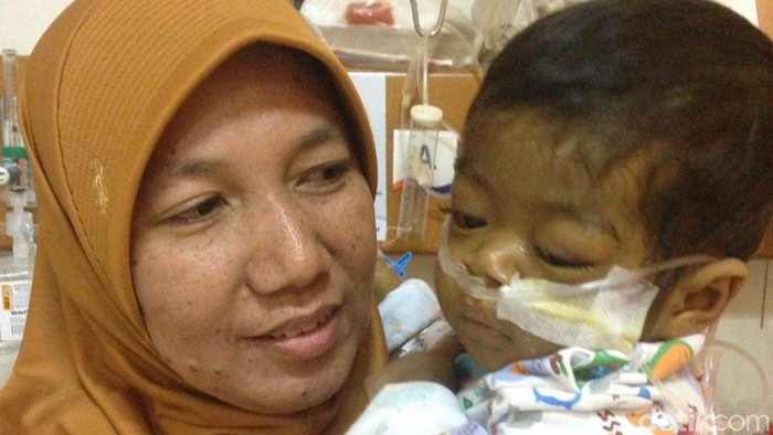 Foto: M Reza Sulaiman/detikHealth Foto: M Reza Sulaiman/detikHealth