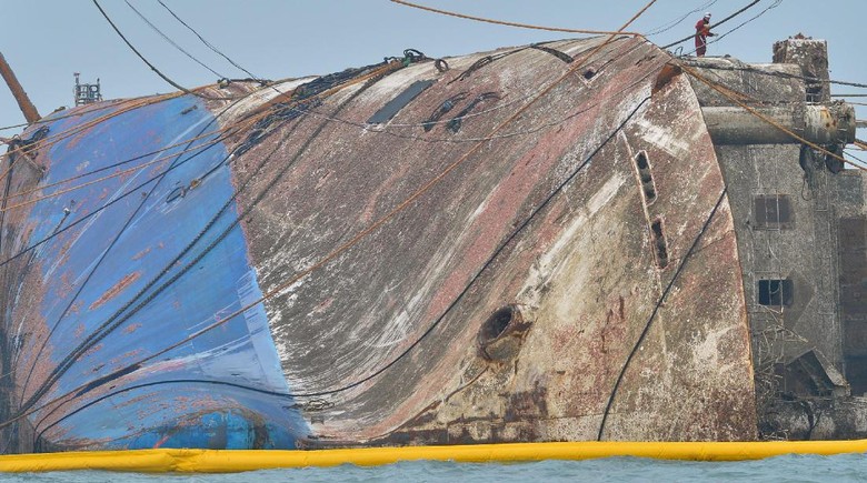 Bangkai Kapal Sewol Diangkat, Ditemukan Tulang Hewan di Dalamnya Bangkai Kapal Sewol Diangkat, Ditemukan Tulang Hewan di Dalamnya