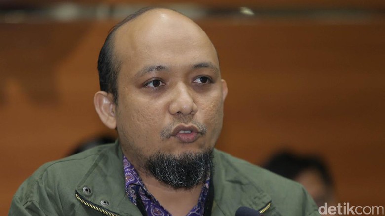 Profil dan Kiprah Novel Baswedan Berantas Korupsi Kelas Kakap Profil dan Kiprah Novel Baswedan Berantas Korupsi Kelas Kakap