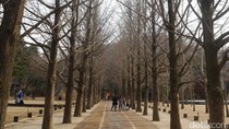 Kamu Fans K-drama? Wajib Datang ke 5 Lokasi Syuting Drama Korea Ini Kamu Fans K-drama? Wajib Datang ke 5 Lokasi Syuting Drama Korea Ini