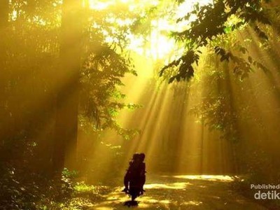 Aneka Destinasi Seru di Bogor untuk Long Weekend Aneka Destinasi Seru di Bogor untuk Long Weekend