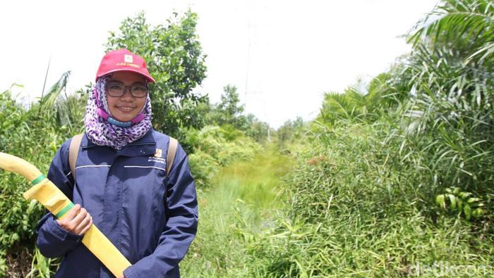 Foto: Dok. PT PLN Foto: Dok. PT PLN