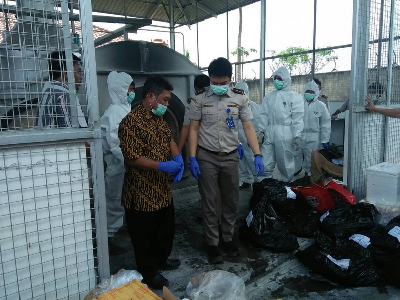 Cegah Flu Burung, Unggas asal Malaysia dan China Dimusnahkan Cegah Flu Burung, Unggas asal Malaysia dan China Dimusnahkan