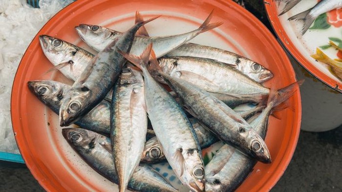Foto: iStock Foto: iStock