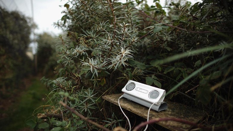 Hilangnya MP3 Belum Tentu Bisa Hapus Pembajakan Hilangnya MP3 Belum Tentu Bisa Hapus Pembajakan