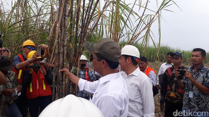 Foto: Fadhly Fauzi Rachman/detikFinance Foto: Fadhly Fauzi Rachman/detikFinance