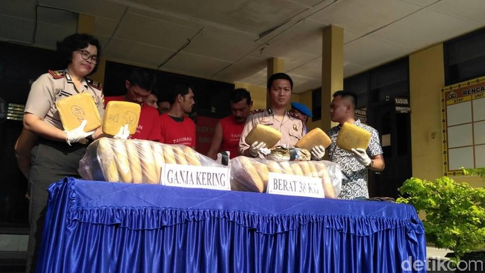 Foto ilustrasi: Barang bukti ganja yang disita (Jefris-detikcom) Foto ilustrasi: Barang bukti ganja yang disita (Jefris-detikcom)
