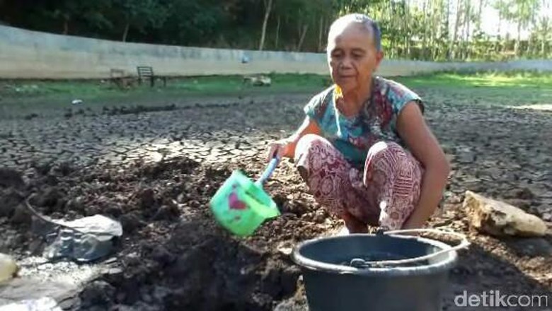Kekeringan, Warga Gunungkidul Jual Ternak untuk Beli Air Kekeringan, Warga Gunungkidul Jual Ternak untuk Beli Air