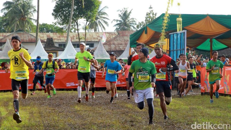 Foto: Banyuwangi Ijen Green Run (Ardian Fanani/detikTravel) Foto: Banyuwangi Ijen Green Run (Ardian Fanani/detikTravel)