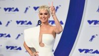 Jelang Konser di Jakarta, Katy Perry Disengat Ubur-ubur