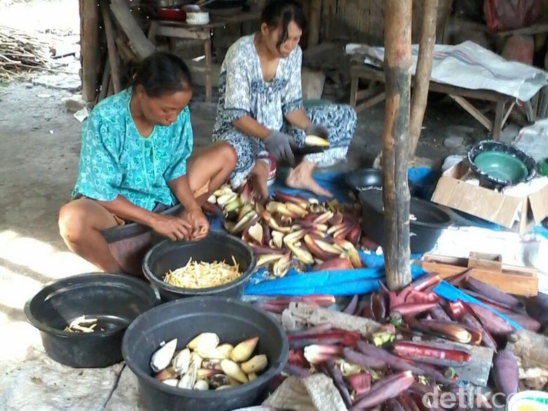 Di Lamongan, Jantung Pisang Bisa Diolah Jadi 10 Macam Makanan Di Lamongan, Jantung Pisang Bisa Diolah Jadi 10 Macam Makanan