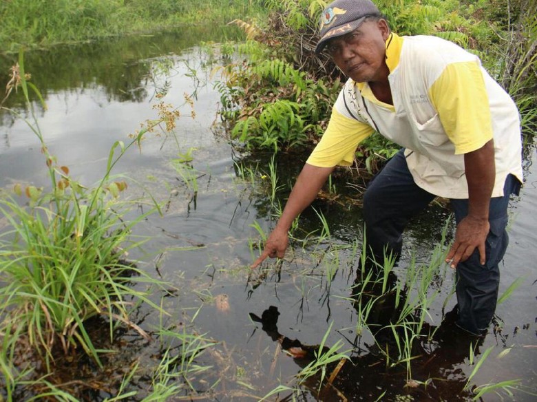 Warga Ungkap Isi Dialog dengan Buaya yang Mangsa Suprianto di Riau Warga Ungkap Isi Dialog dengan Buaya yang Mangsa Suprianto di Riau