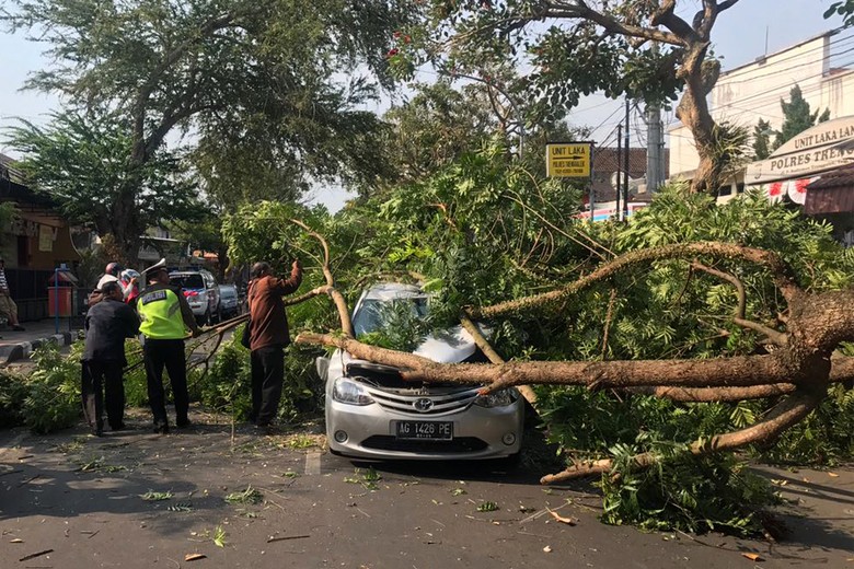 Bapak dan Anak Selamat Meski Mobil Tertimpa Pohon Tumbang Bapak dan Anak Selamat Meski Mobil Tertimpa Pohon Tumbang