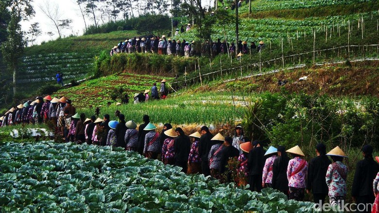 Menjaga Mata Air di Lereng Gunung Slamet Dengan Tradisi Menjaga Mata Air di Lereng Gunung Slamet Dengan Tradisi