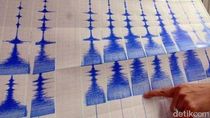 Boven Digoel Kembali Diguncang Gempa Boven Digoel Kembali Diguncang Gempa