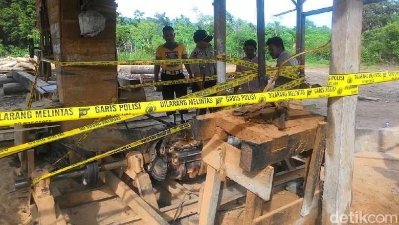 Polisi Sita 11 Kubik Kayu Ilegal di Aceh Polisi Sita 11 Kubik Kayu Ilegal di Aceh