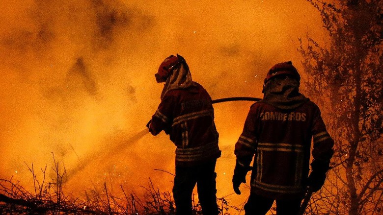 Kebakaran Hutan Tewaskan 41 Orang, Mendagri Portugal Mundur Kebakaran Hutan Tewaskan 41 Orang, Mendagri Portugal Mundur