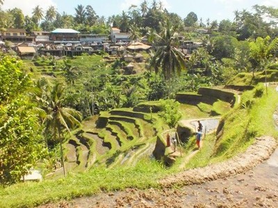 Sepi Turis, Pemkab Gianyar Benahi Lalu Lintas di Ubud Sepi Turis, Pemkab Gianyar Benahi Lalu Lintas di Ubud