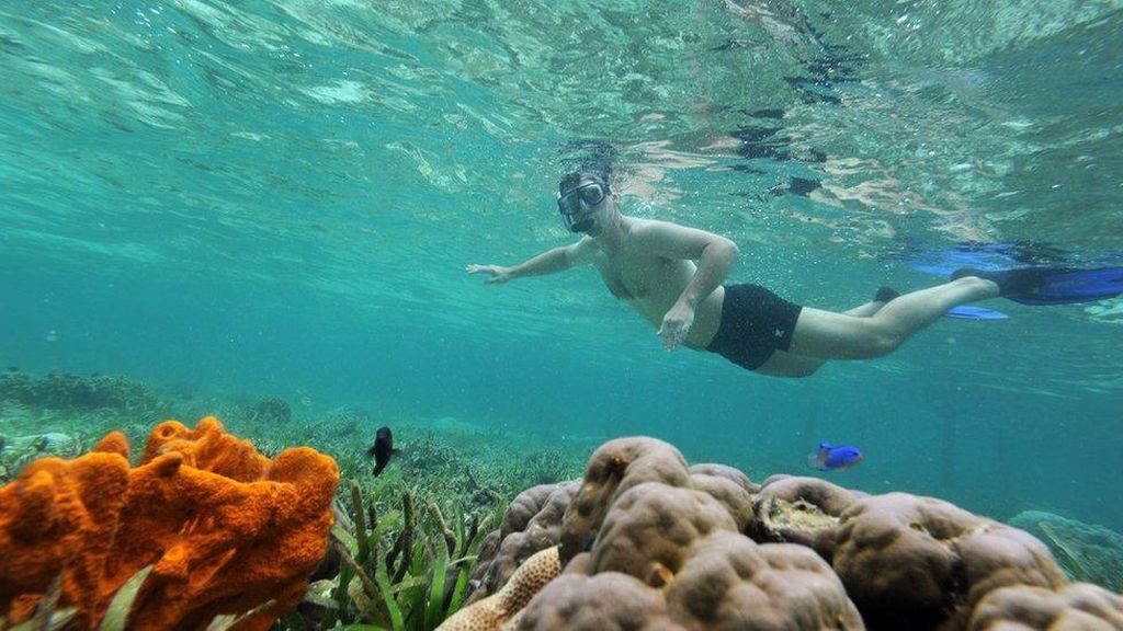 RI Destinasi Selam Terbaik Dunia, Tapi Pendapatan Kalah dari Malaysia RI Destinasi Selam Terbaik Dunia, Tapi Pendapatan Kalah dari Malaysia