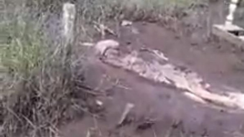 Belajar dari Kejadian Mayat Muncul ke Permukaan Makam di Kalbar Belajar dari Kejadian Mayat Muncul ke Permukaan Makam di Kalbar