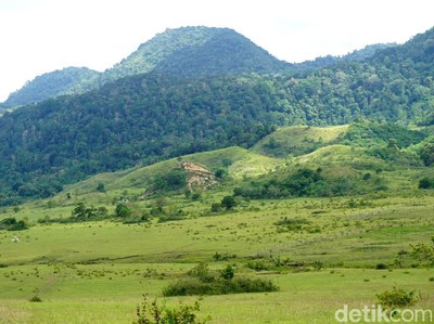 Serasa di Selandia Baru, Padahal Ini di Luwuk Serasa di Selandia Baru, Padahal Ini di Luwuk