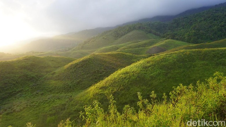 Bukit Teletubbies di Luwuk, Banggai (Wahyu/de tikTravel) Bukit Teletubbies di Luwuk, Banggai (Wahyu/detikTravel)